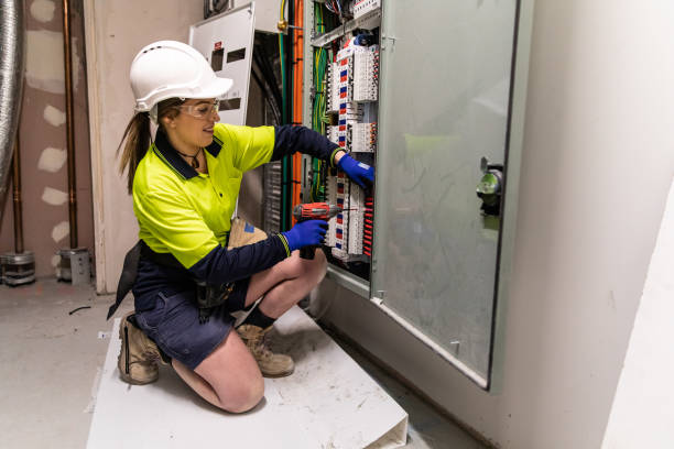 Best Electric Panel Repair  in Woodfin, NC